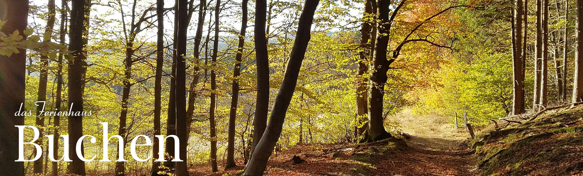 Villa Thea - Ferienhaus in der Rh&ouml;n