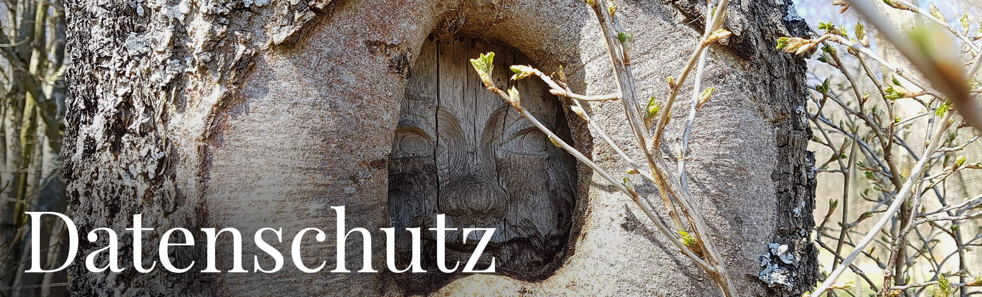 Villa Thea - Ferienhaus in der Rhön