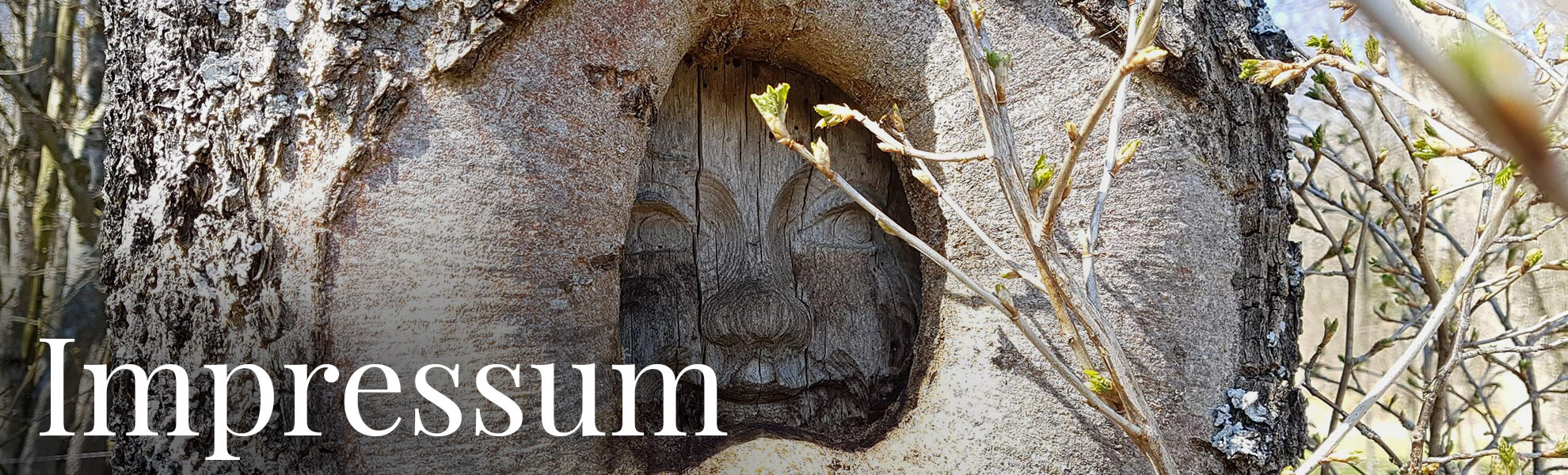 Villa Thea - Ferienhaus in der Rhön