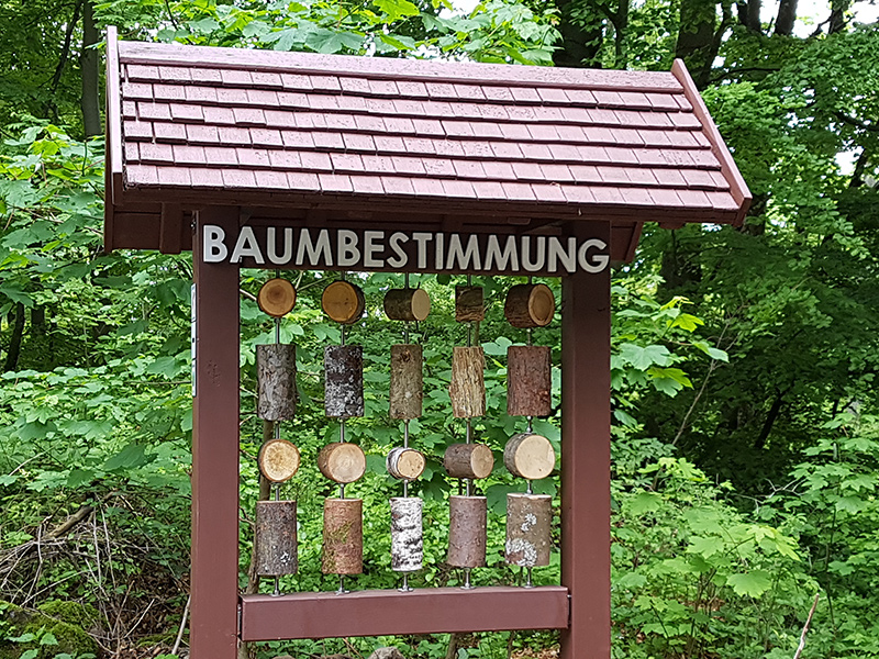 Naturerlebnispfad in der rhoen - villa thea