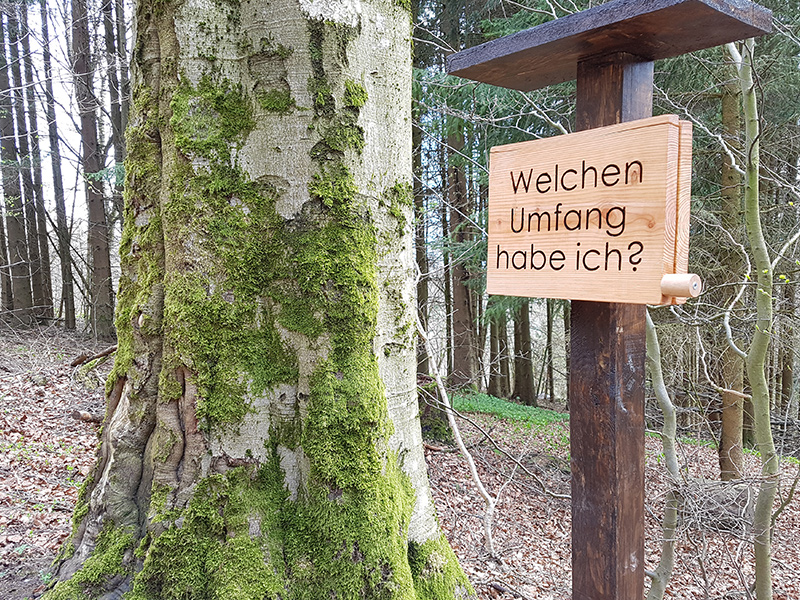 naturerlebnispfad in der rhoen - villa thea